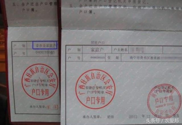 农村最新政策_最新农村养老保险政策_2021年农村最新分户政策