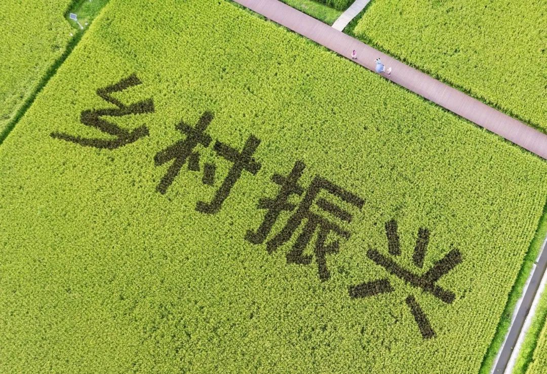 乡村振兴_乡村振兴战略生态环境振兴_乡镇法治乡村乡村振兴方案