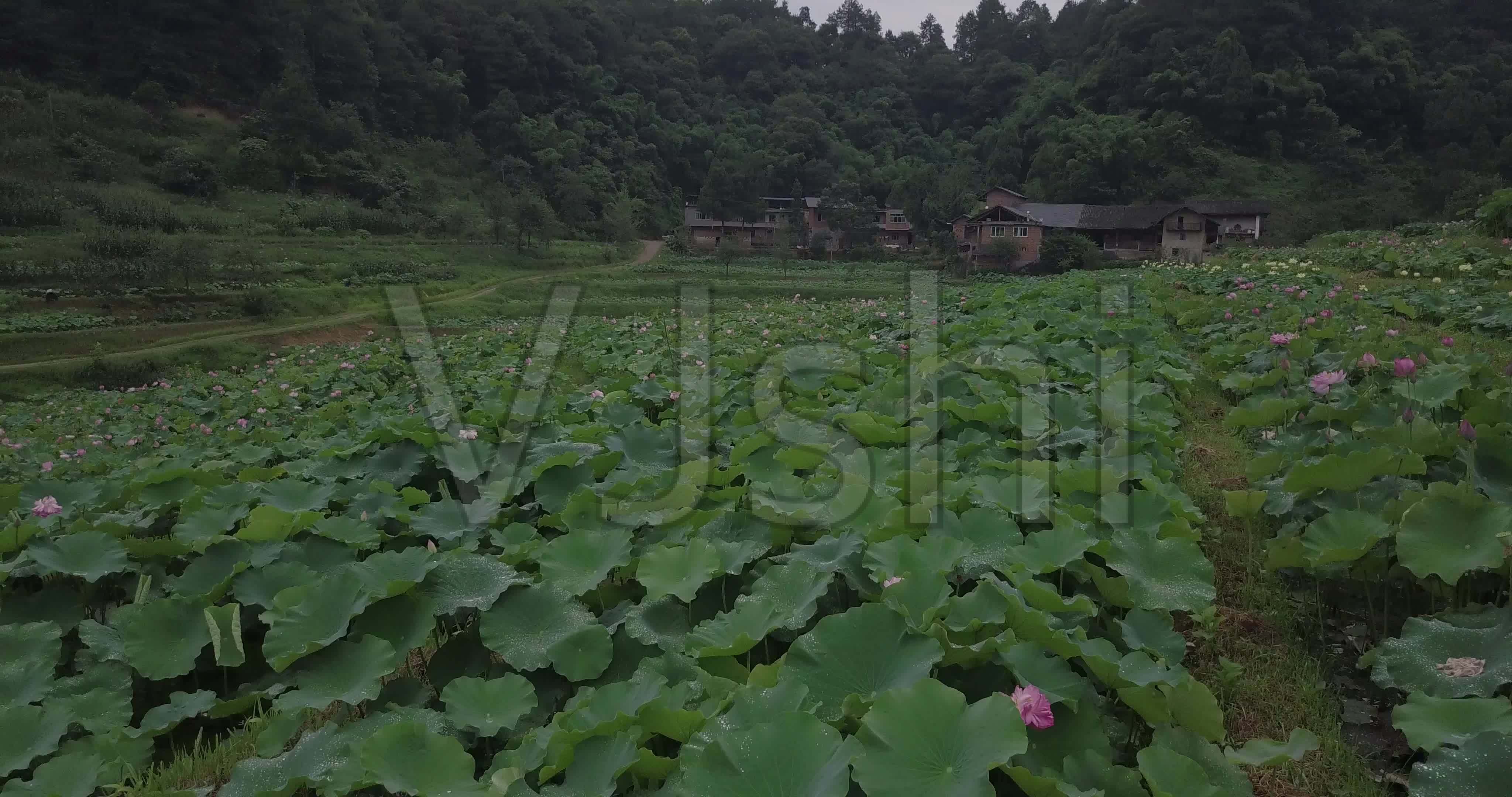 禹州旅游乡村_乡村旅游_全域旅游视角下的乡村发展之路
