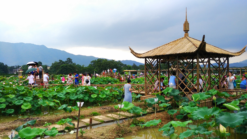 全域旅游视角下的乡村发展之路_乡村旅游_禹州旅游乡村