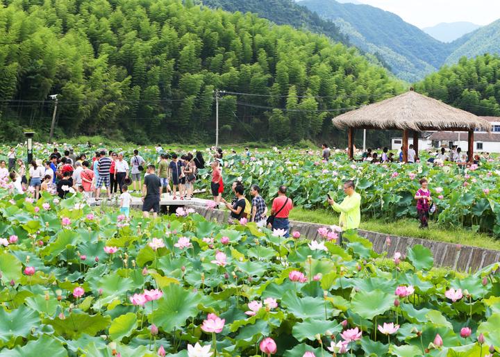 乡村旅游_全域旅游视角下的乡村发展之路_禹州旅游乡村