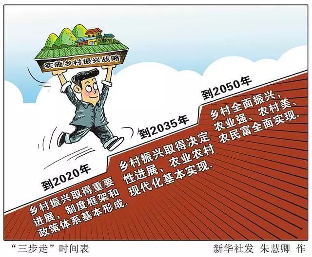 农村 改革 医疗_农村义务教育经费保障机制改革_农村改革
