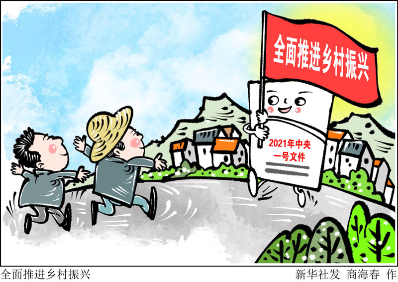 农村 改革 医疗_农村改革_农村义务教育经费保障机制改革