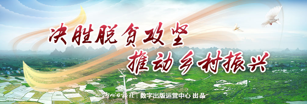 建设美好乡村 打造幸福家园 工作开展情况汇报_乡村建设理论pdf_乡村建设方案