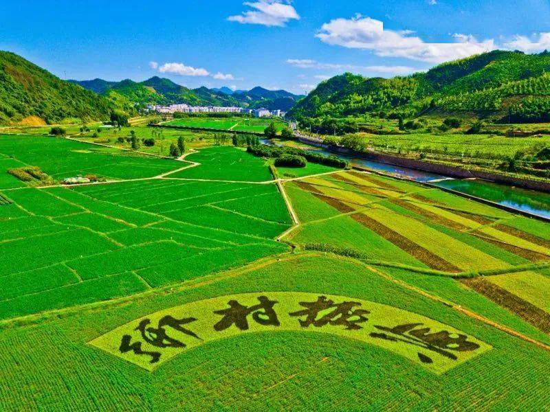 建设美好乡村 打造幸福家园 工作开展情况汇报_乡村建设理论pdf_乡村建设方案