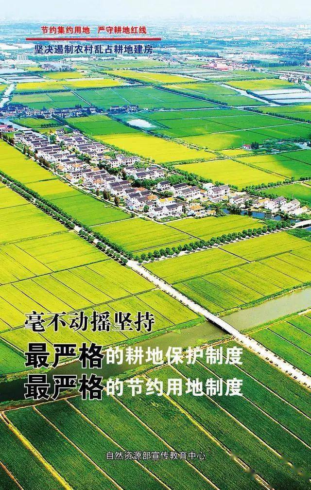 最新农村土地分配政策_最新农村山林政策_农村最新政策