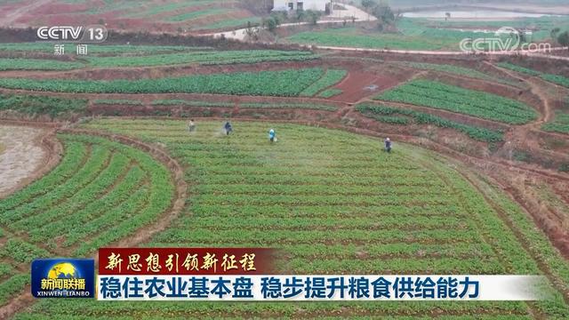 最新农村山林政策_最新农村土地分配政策_农村最新政策