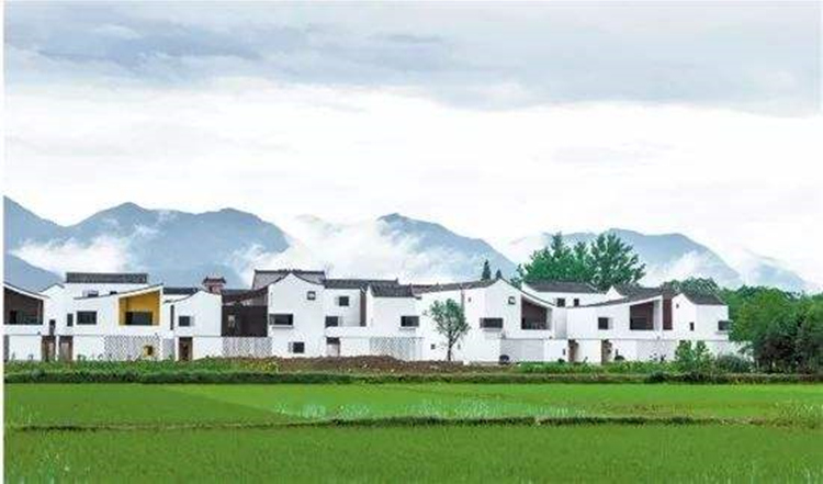 美好乡村建设成效明显,亮点纷呈,值得充分肯定_数字乡村建设方案_新奥集团参与胜芳美丽乡村建设