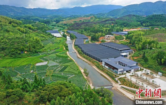 福建宁德：加快建设国家乡村振兴示范区(1)
