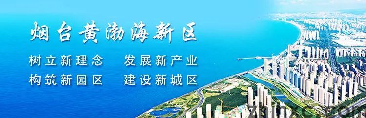 新区发展话担当 | 潮水镇：深耕细作，建设宜居宜业宜游美丽乡村(图1)