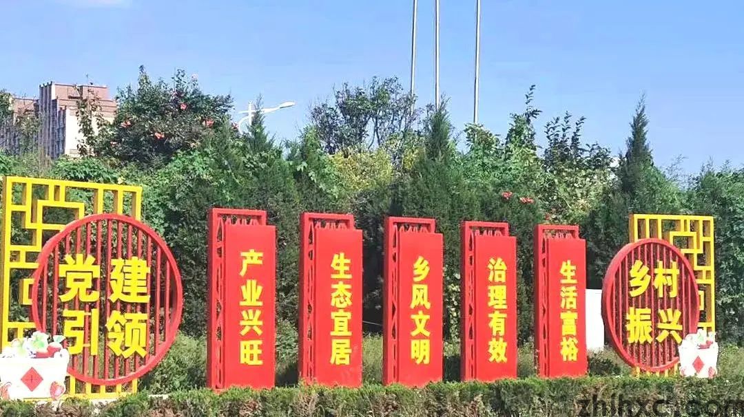 新区发展话担当 | 潮水镇：深耕细作，建设宜居宜业宜游美丽乡村(图4)