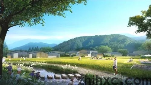 新区发展话担当 | 潮水镇：深耕细作，建设宜居宜业宜游美丽乡村(图9)