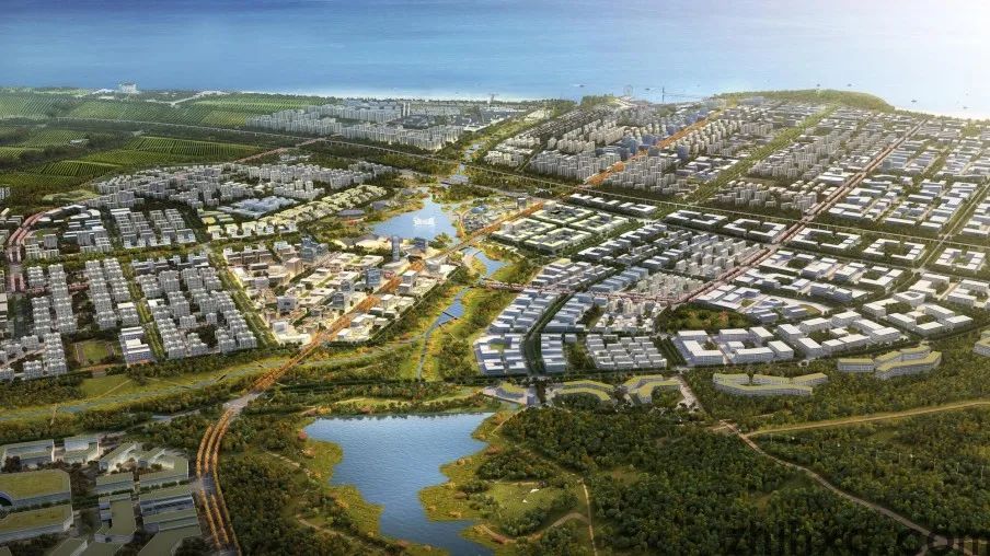 新区发展话担当 | 潮水镇：深耕细作，建设宜居宜业宜游美丽乡村(图14)