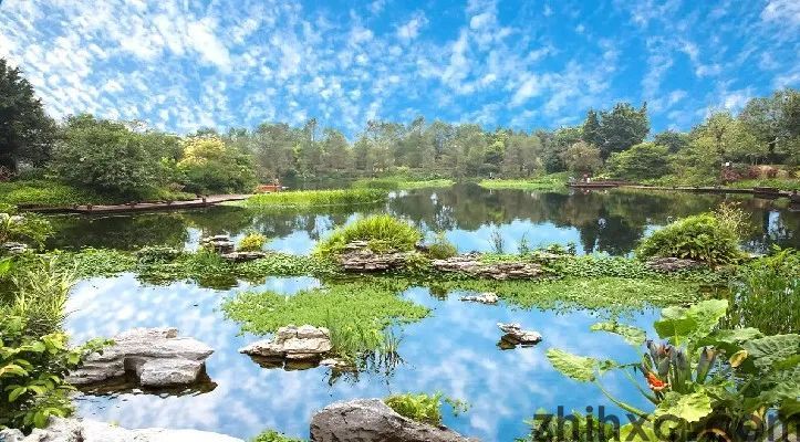 新区发展话担当 | 潮水镇：深耕细作，建设宜居宜业宜游美丽乡村(图13)