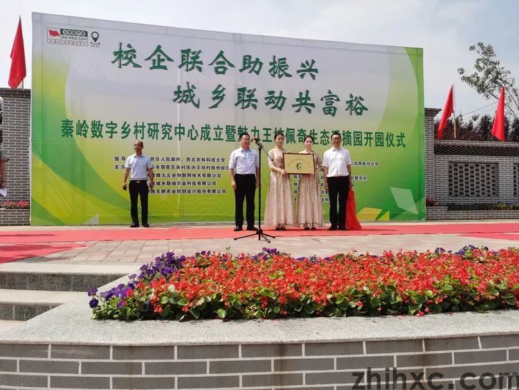 鄠邑区召开全区数字乡村建设工作现场推进会(图3)