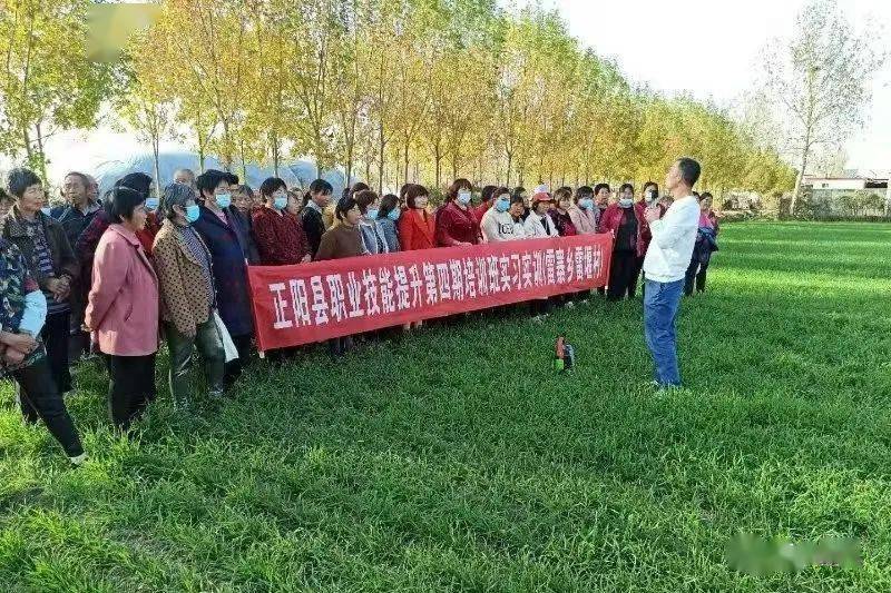 三农服务_三农服务图片_为三农服务企业免征增值税吗