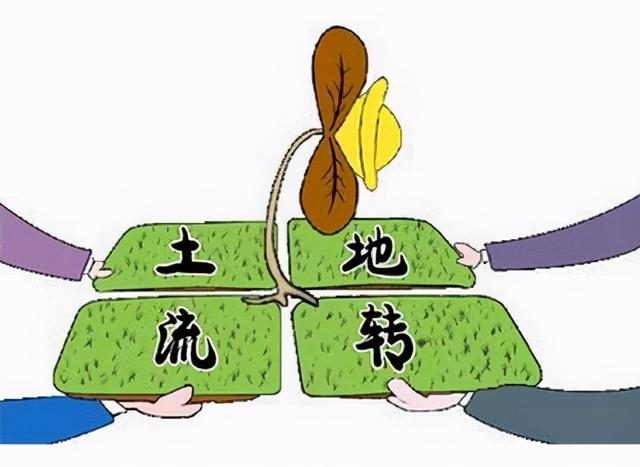 农村最新政策_农村建新农村补贴政策_2021年农村最新分户政策