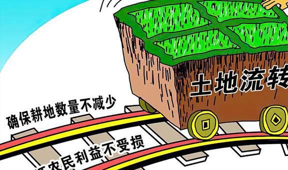 农村建新农村补贴政策_2021年农村最新分户政策_农村最新政策