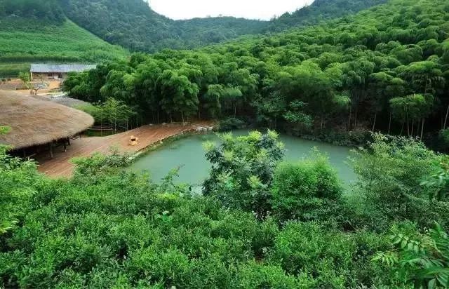 2021年农村最新分户政策_农村最新政策_农村建新农村补贴政策