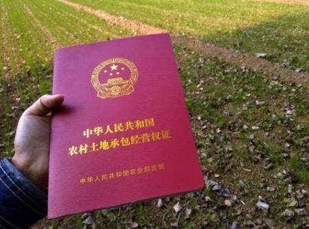 最新农业新闻_广西农业新闻_国际农业新闻