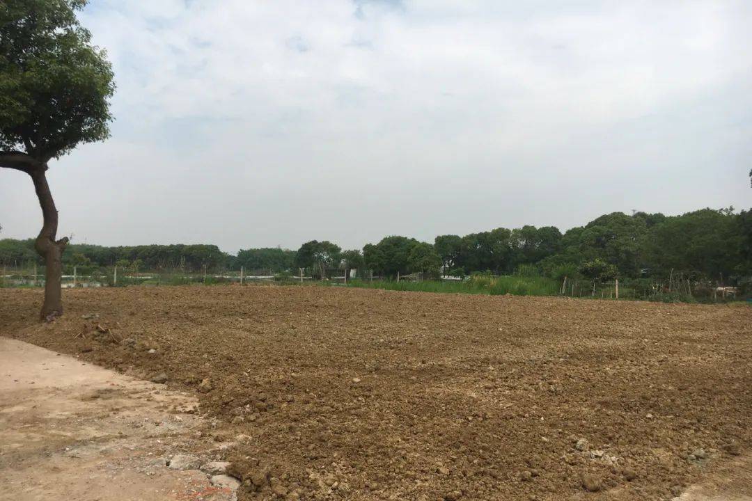 最新农村山林政策_农村最新政策_农村城镇化政策