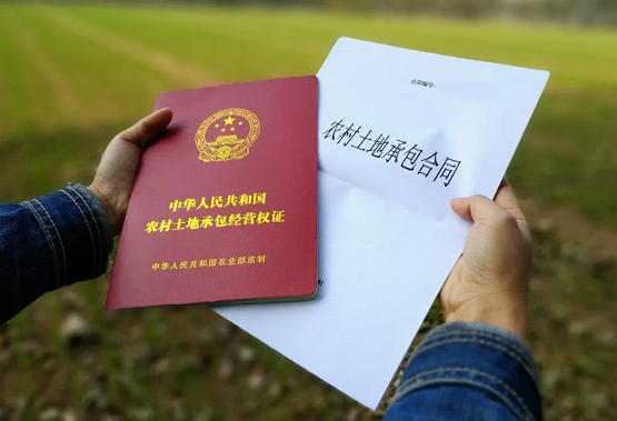 广西农业新闻_最新农业新闻_国际农业新闻