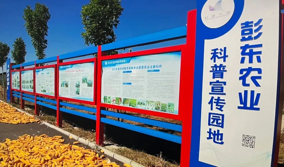 【美食淄博 · 美丽乡村新变化，彭东村推进数字乡村建设】(图4)