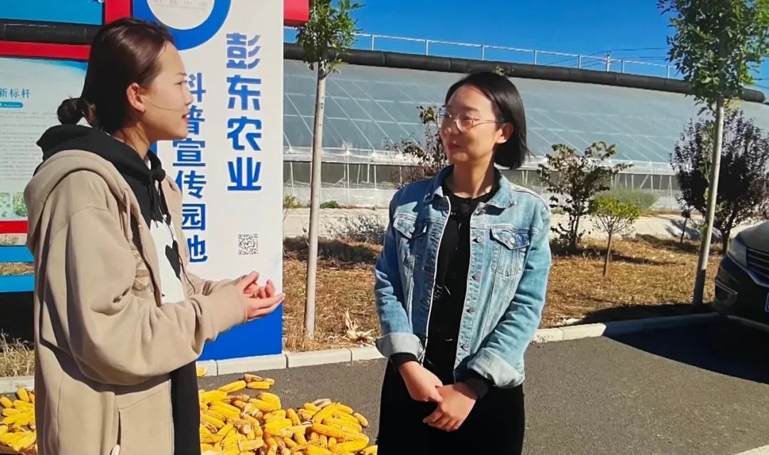 【美食淄博 · 美丽乡村新变化，彭东村推进数字乡村建设】(图5)