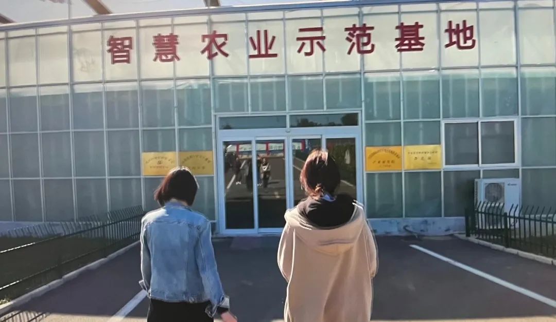 【美食淄博 · 美丽乡村新变化，彭东村推进数字乡村建设】(图6)