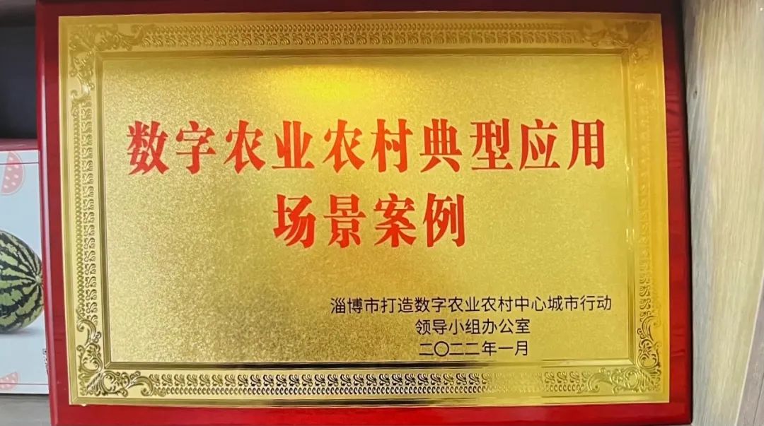 【美食淄博 · 美丽乡村新变化，彭东村推进数字乡村建设】(图9)