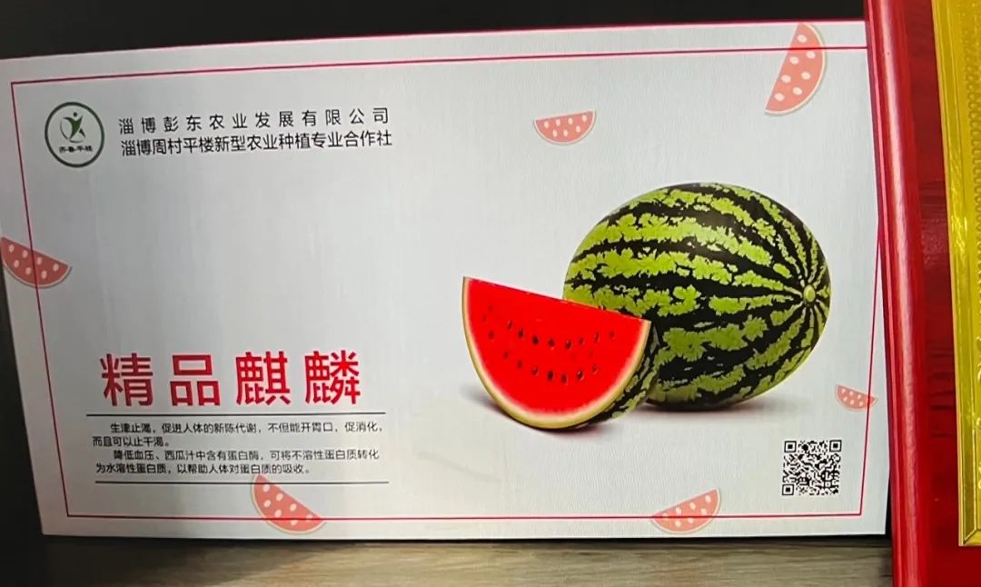 【美食淄博 · 美丽乡村新变化，彭东村推进数字乡村建设】(图12)
