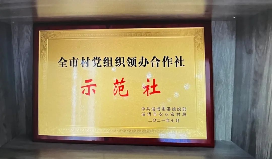 【美食淄博 · 美丽乡村新变化，彭东村推进数字乡村建设】(图10)