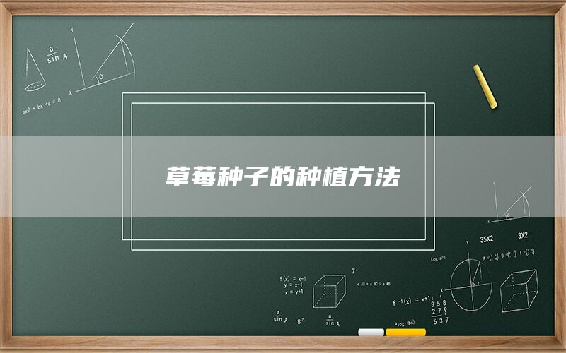 草莓种子的种植方法