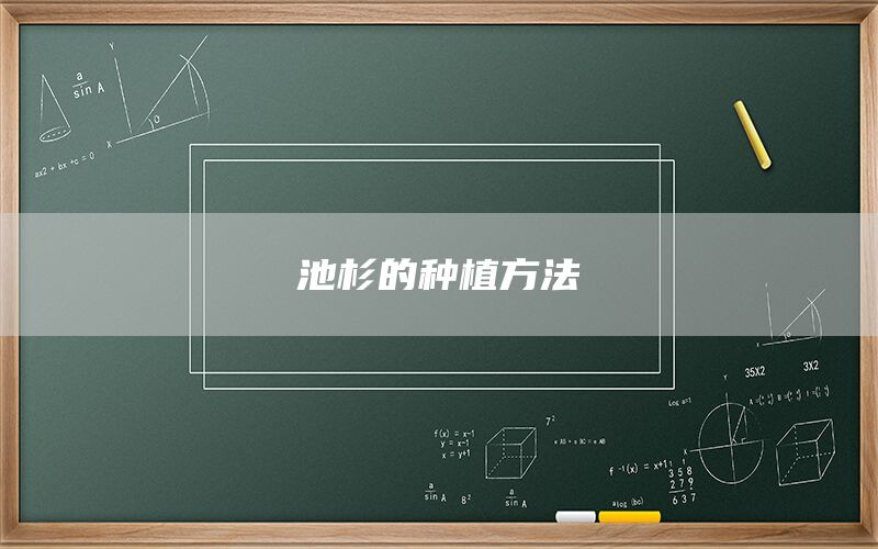 池杉的种植方法