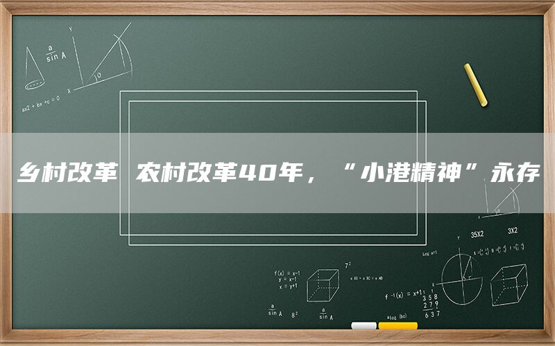 乡村改革 农村改革40年，“小港精神”永存