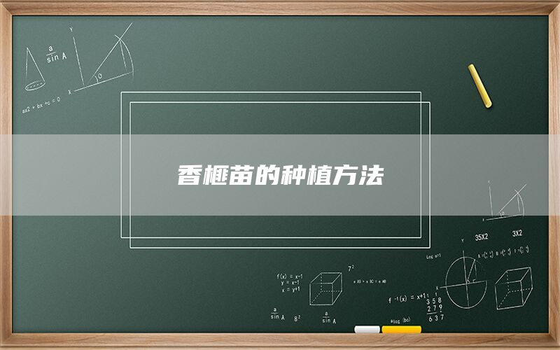 香榧苗的种植方法