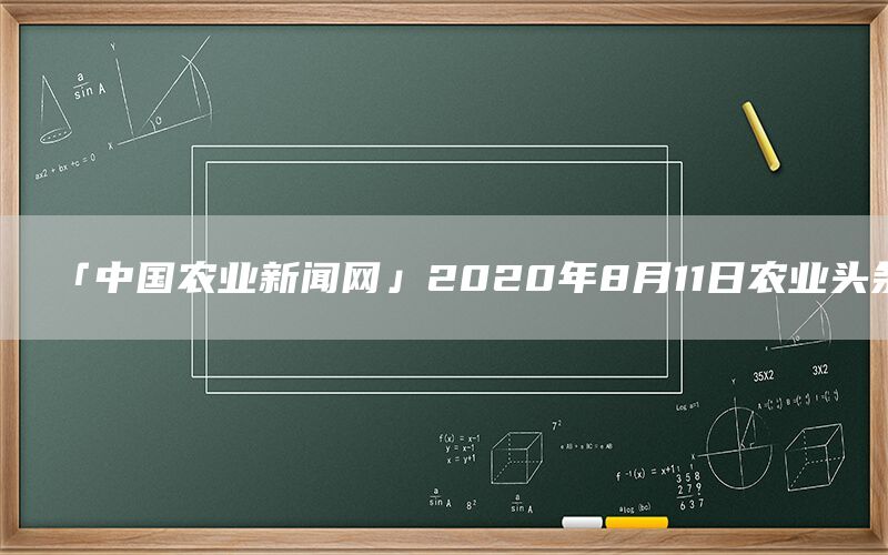 「中国农业新闻网」2020年8月11日农业头条(1)