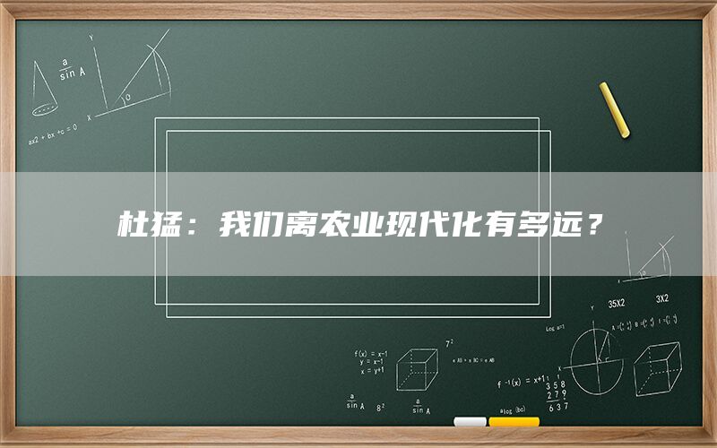 杜猛：我们离农业现代化有多远？(1)
