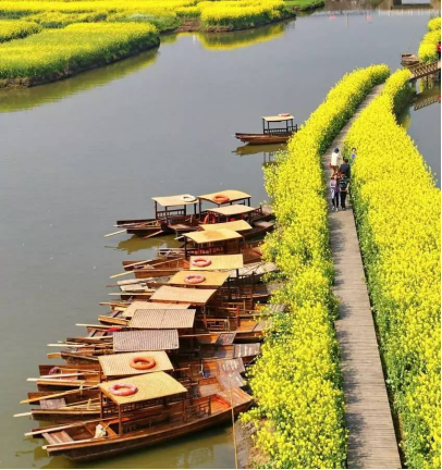 中国乡村旅游的发展状况和趋势(图5)