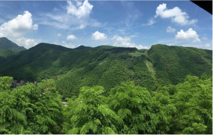 中国乡村旅游的发展状况和趋势(图6)