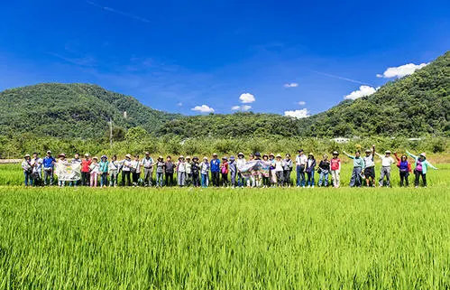 乡村那些事乡村满艳_乡村旅游_全域旅游视角下的乡村发展之路
