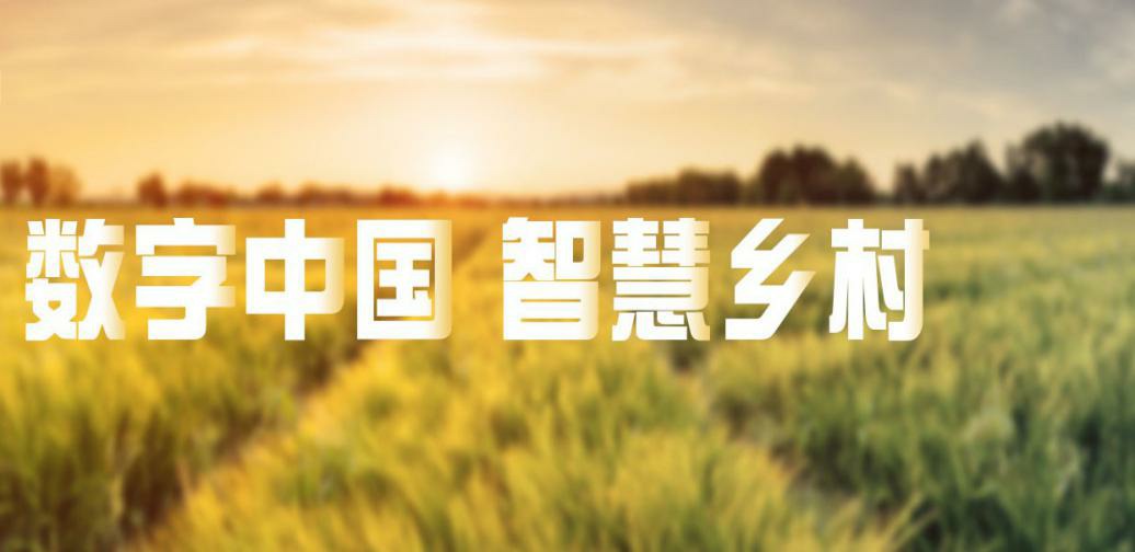 数字农业