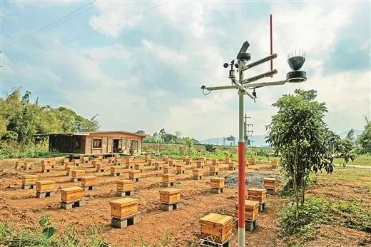梧州蒙山县推进农村综合性改革试点试验取得阶段性成果(图3)