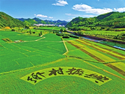 乡村振兴