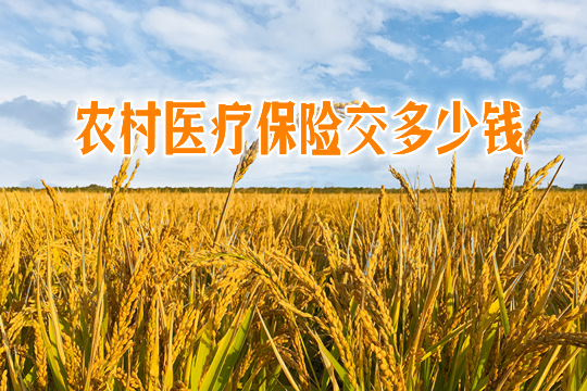 新农村政策