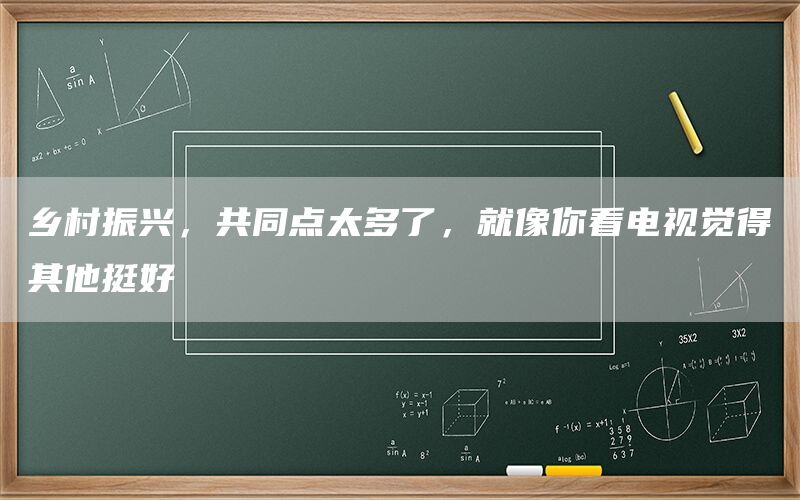 乡村振兴，共同点太多了，就像你看电视觉得其他挺好(1)