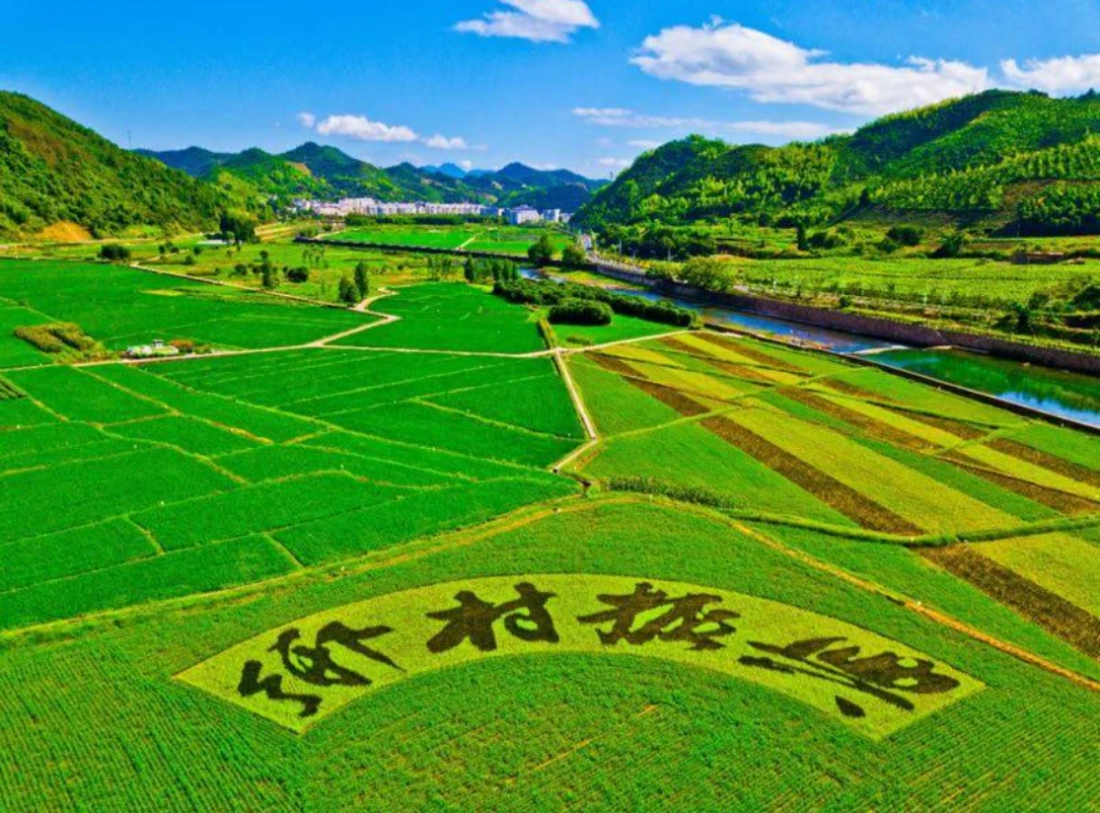 乡村热点_如何判断热点板块和热点题材_2018民生热点2018民生热点