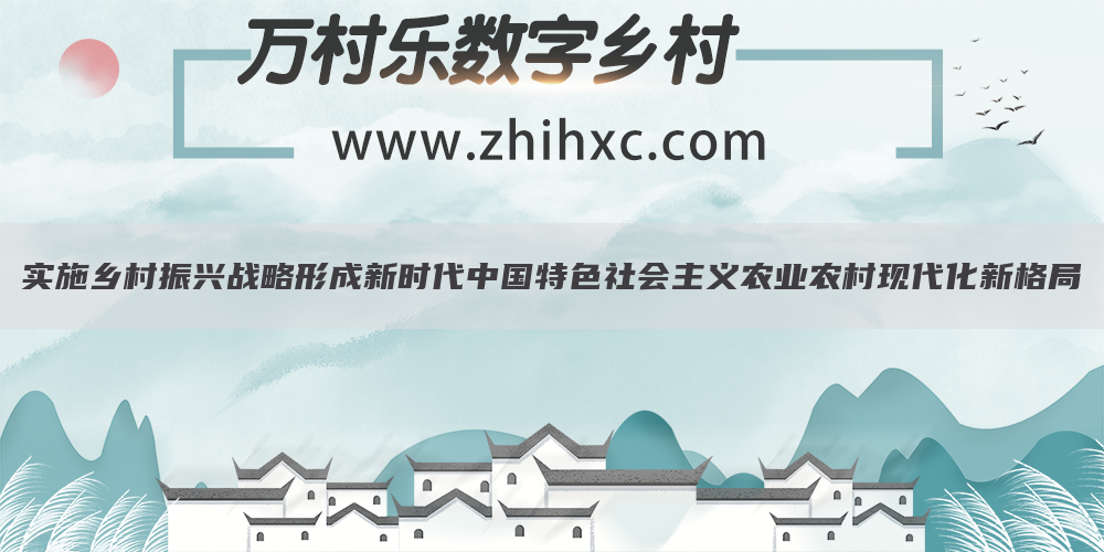 实施乡村振兴战略形成新时代中国特色社会主义农业农村现代化新格局(1)