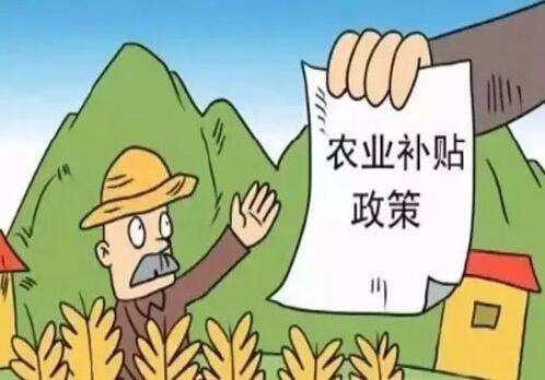 农村义务教育经费保障机制改革政策落实情况汇报_农村改革_改革在农村得以突破是因为