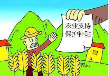 农村义务教育经费保障机制改革政策落实情况汇报_农村改革_改革在农村得以突破是因为